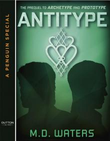 Antitype Read online