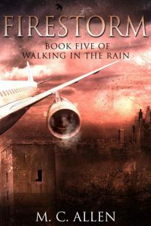 Firestorm: Walking in the Rain Book 5 Read online