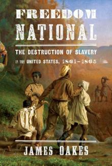 Freedom National: The Destruction of Slavery in the United States, 1861-1865 Read online