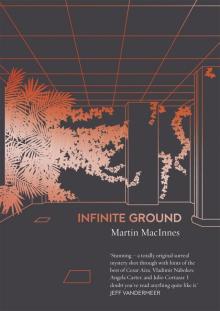 Infinite Ground Read online