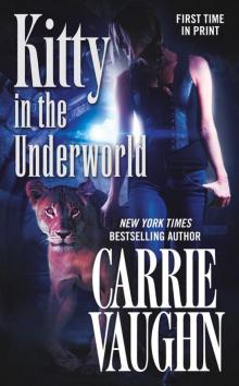 Kitty in the Underworld (Kitty Norville) Read online