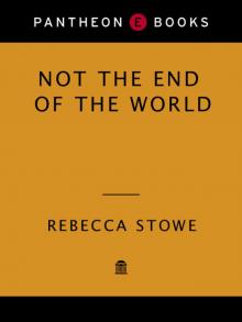 NOT THE END OF THE WORLD Read online