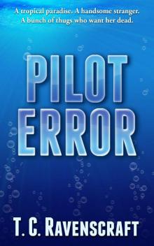 Pilot Error Read online