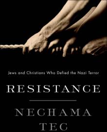 Resistance: Jews and Christians Who Defied the Nazi Terror Read online