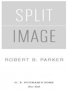 Read Robert B. Parker Books, Reading Order | Free Online Novels