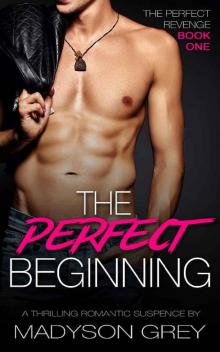 The Perfect Beginning: A Thrilling Romantic Suspence (The Perfect Revenge Book 1) Read online