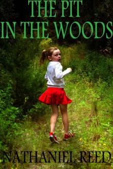The Pit in the Woods: A Mercy Falls Mythos Read online