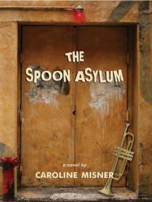 The Spoon Asylum Read online