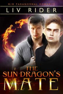 The Sun Dragon's Mate Read online