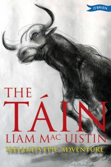 The Táin Read online