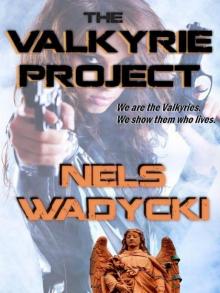 The Valkyrie Project Read online