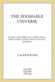 The Zoomable Universe Read online