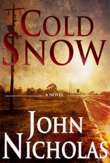 Cold Snow: A Legal Thriller Read online