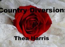 Country Diversions (Country Pursuits) Read online