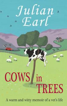 Cows in Trees Read online