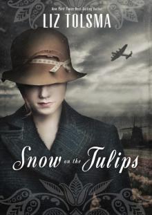 Liz Tolsma Read online