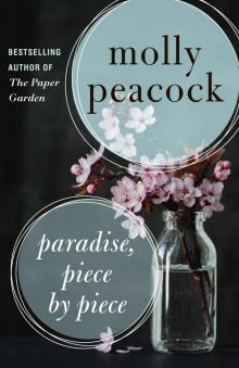 Paradise, Piece by Piece Read online