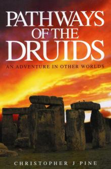 Pathways of the Druids Read online