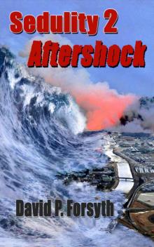 Sedulity 2: Aftershock (Sedulity Saga) Read online