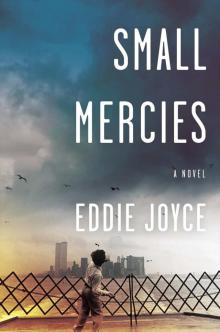 Small Mercies: A Novel Read online