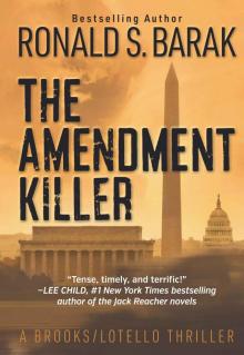 The Amendment Killer (Brooks/Lotello Thriller) Read online