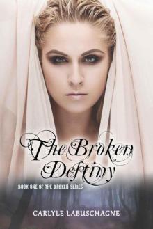 The Broken Destiny Read online