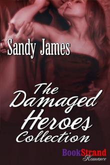 The Damaged Heroes Collection [Box Set #1: The Damaged Heroes Collection] (BookStrand Publishing Mainstream) Read online