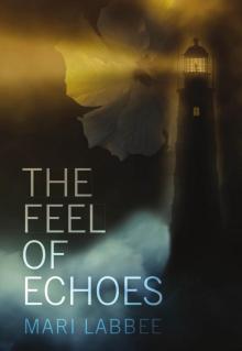 The Feel of Echoes Read online