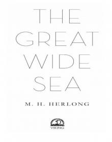 The Great Wide Sea Read online