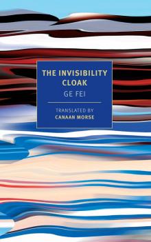 The Invisibility Cloak Read online