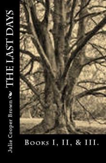 The Last Days (Books 1-3) Read online