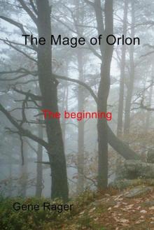 The Mage of Orlon: The beginning Read online