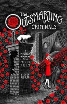The Outsmarting of Criminals: A Mystery Introducing Miss Felicity Prim Read online