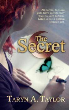 The Secret Read online