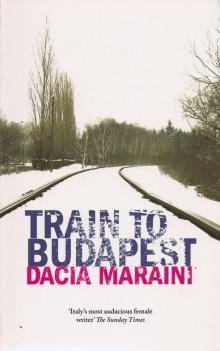 Train to Budapest Read online
