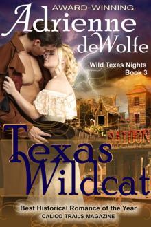 Adrienne deWolfe - [Wild Texas Nights 03] Read online