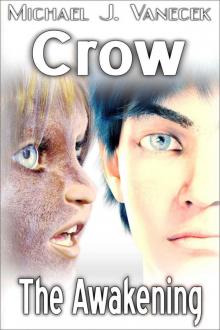 Crow - The Awakening Read online