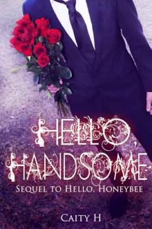 Hello, Handsome Read online