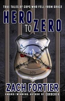 Hero To Zero 2nd edition Read online