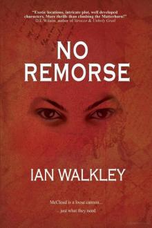 No Remorse Read online