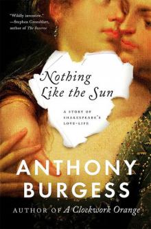 Nothing Like the Sun - Anthony Burgess Read online