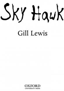 Sky Hawk Read online