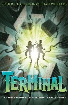 Terminal Read online