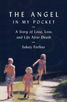 The Angel in My Pocket Read online