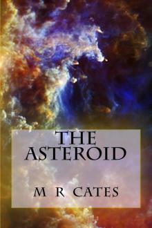 The Asteroid Read online