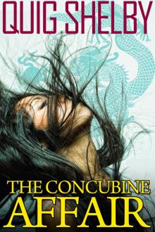The Concubine Affair Read online