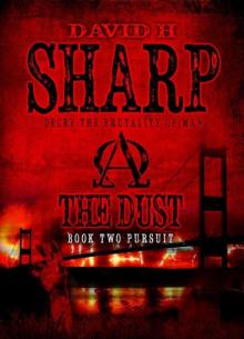 The Dust: Book Two - Pursuit Read online