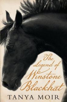 The Legend of Winstone Blackhat Read online