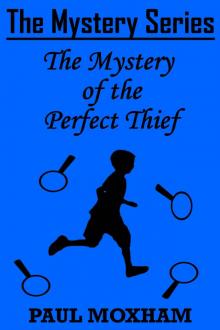 The Mystery of the Perfect Thief Read online