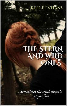 The Stern and Wild Ones (The Seeker Series) Read online
